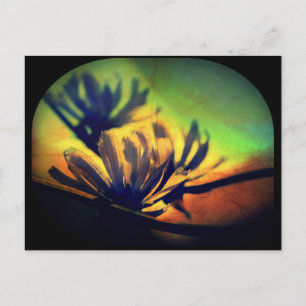 Floral Sunset View Postcard