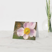 Floral Sympathy: Psalm 119:50 