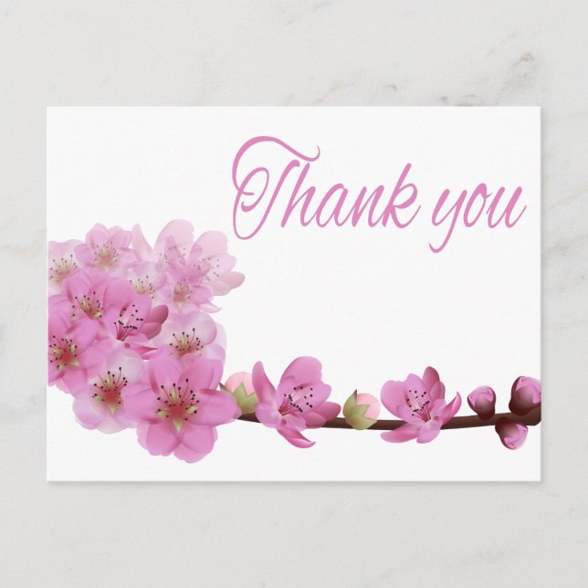 Floral Thank You Cherry Blossom Flower Purple Pink Postcard (Front)