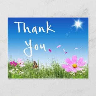 Floral Thank You Daisy Butterfly Wildflowers Postcard