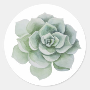 Floral Thank You Green Sage Succulent Cactus Mint Classic Round Sticker