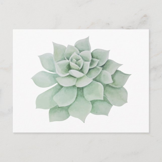 Floral Thank You Mint Green Succulent Cactus Postcard (Front)
