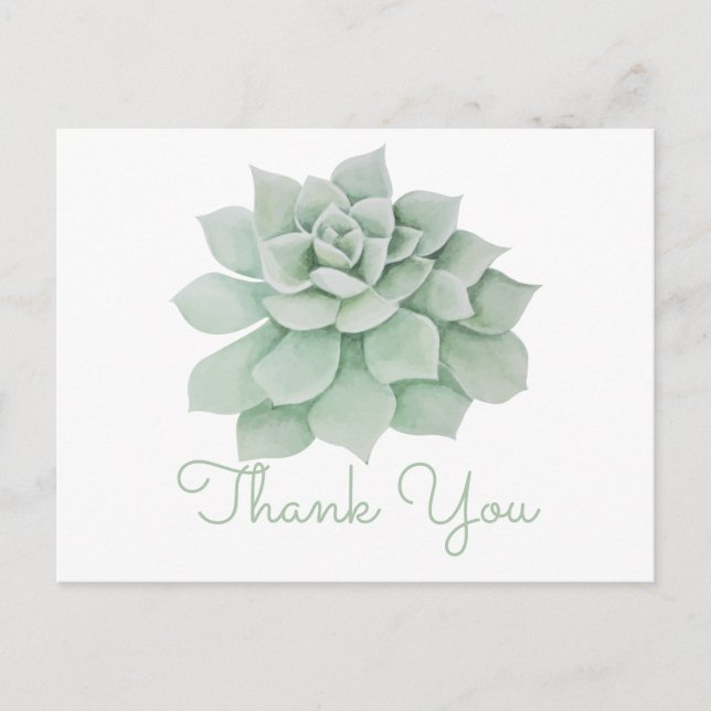 Floral Thank You Mint Green Succulent Cactus Postcard (Front)