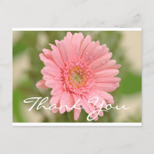 Floral Thank You Pink Gerbera Daisy Flower Postcard