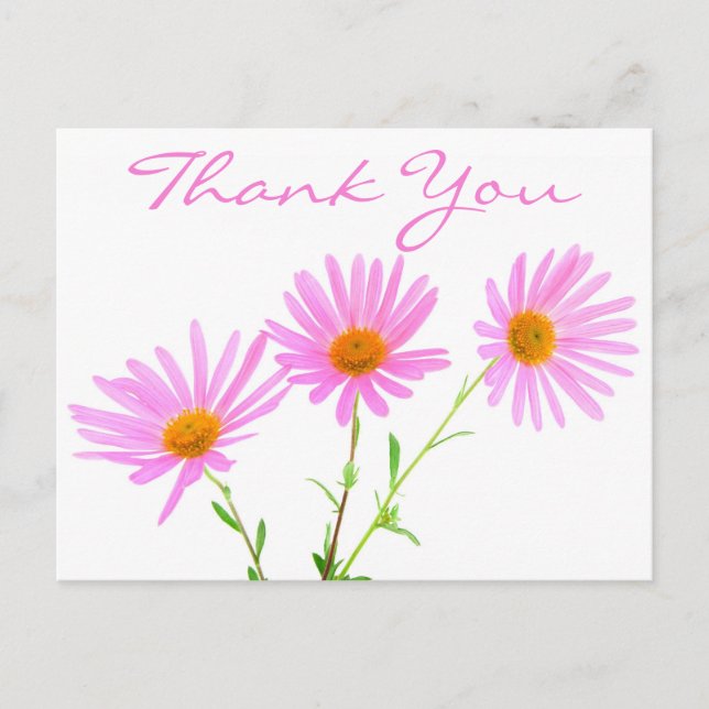 Floral Thank You Pink Lavender Daisy Flower Postcard (Front)