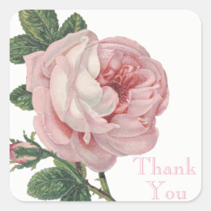 Floral Thank You Pink Rose Flower Vintage Wedding Square Sticker
