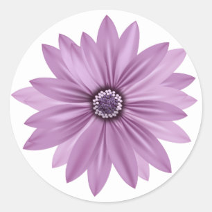 Floral Thank You Purple Daisy Flower - Lavender Classic Round Sticker