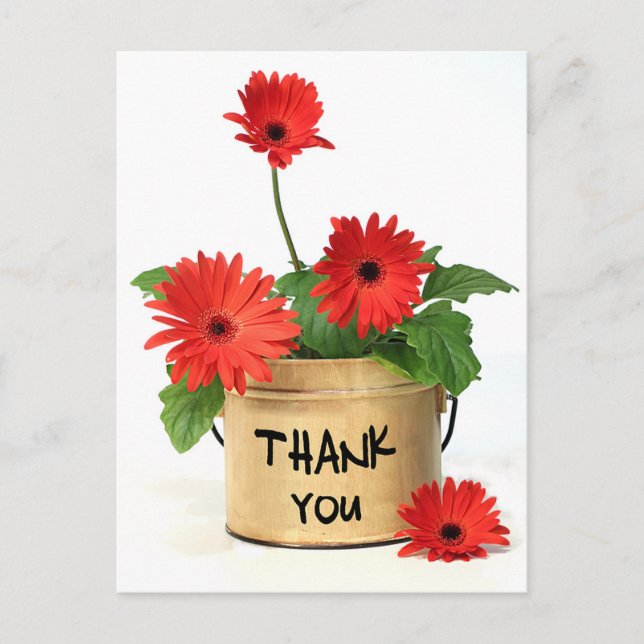 Floral Thank You Red Gerbera Daisy Flower Postcard (Front)