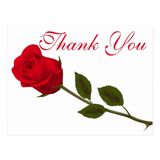 Floral Thank You Red Rose Flower Postcard | Zazzle.co.uk