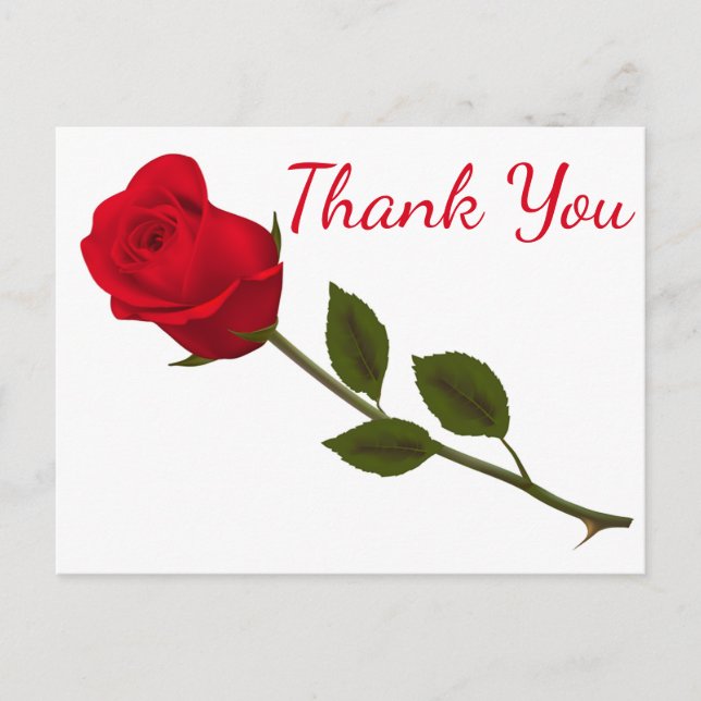 Floral Thank You Red Rose Flower Postcard (Front)