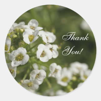 Floral Thank You Stickers