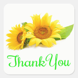 Floral Thank You Sunflower Yellow Flower Green Square Sticker