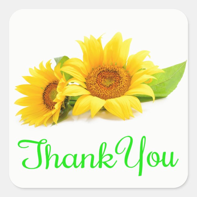 Floral Thank You Sunflower Yellow Flower Green Square Sticker (Front)
