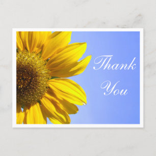 Floral Thank You Sunflower Yellow Flower Postcard