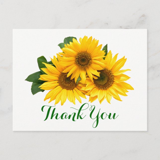 Floral Thank You Sunflower Yellow & Green Flowers Postcard (Front)
