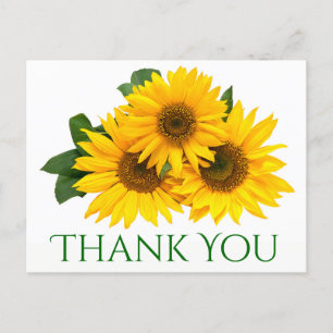 Floral Thank You Sunflower Yellow & Green Flowers Postcard