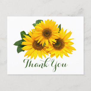 Floral Thank You Sunflowers Yellow & Green Flowers Postcard