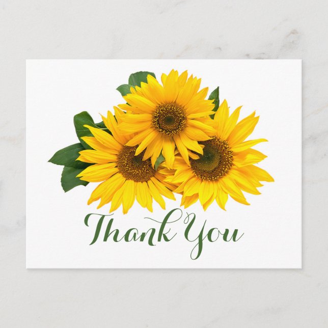 Floral Thank You Sunflowers Yellow & Green Flowers Postcard (Front)