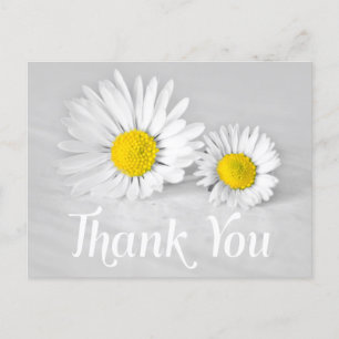 Floral Thank You White Daisies White Flowers Grey Postcard