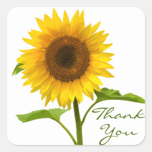 Floral Thank You Yellow & Green Sunflower Flower Square Sticker