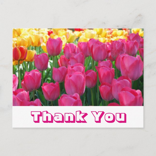 Floral Thank You Yellow & Pink Tulip Flowers Postcard (Front)