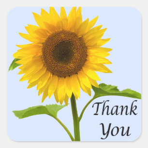 Floral Thank You Yellow Sunflower Flower Wedding Square Sticker