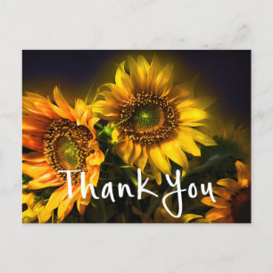 Floral Thank You Yellow Sunflowers Flower Black Postcard