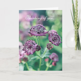 Floral Thinking of You Card