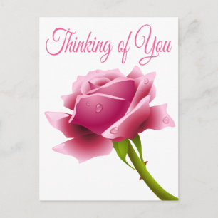 Floral Thinking of You Pink Rose Flower Postcard