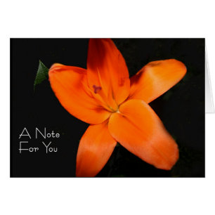 Floral Tiger Lily “A note for you”
