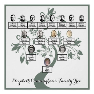 Floral Tree Green Silhouette Family Tree Photos Poster