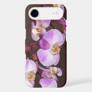 Floral Violet White Orchid Flower Photo and Buds