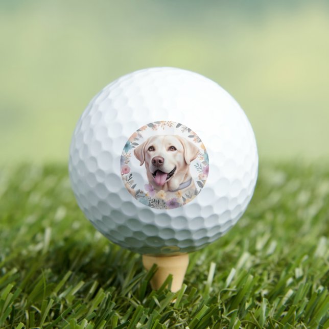 Floral Whimsical Labrador Retriever Illustration Golf Balls (Insitu Tee)