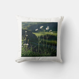 Floral White Daisy Nature Landscape Cushion