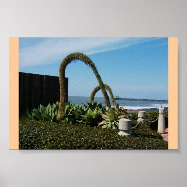 Floral Wonders Poster (Front)