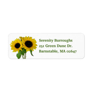 Floral Yellow Flower Spring Autumn Fall Sunflowers