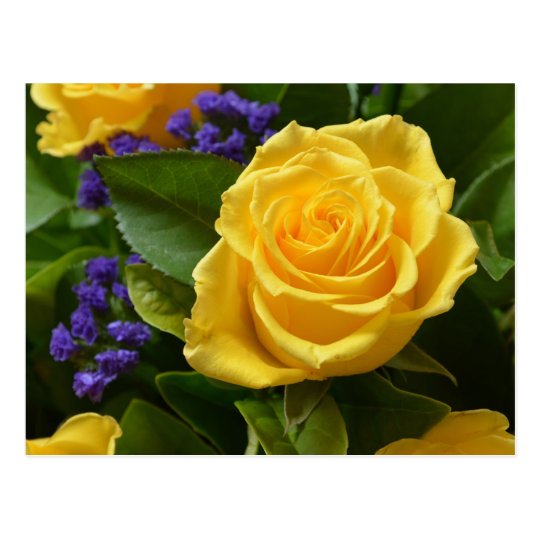 Floral Yellow Rose Purple Flowers Hello Love Postcard Zazzle Co Uk