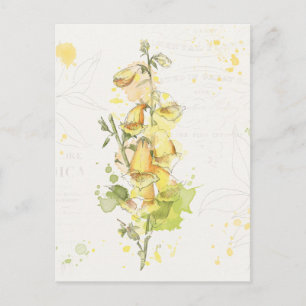 Floral Yellow Splash Postcard