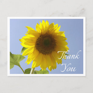 Floral Yellow Sunflower Thank You Flower Postcard