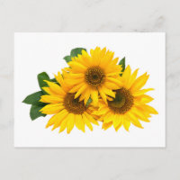 Floral Yellow Sunflowers Flower - Hello, Love