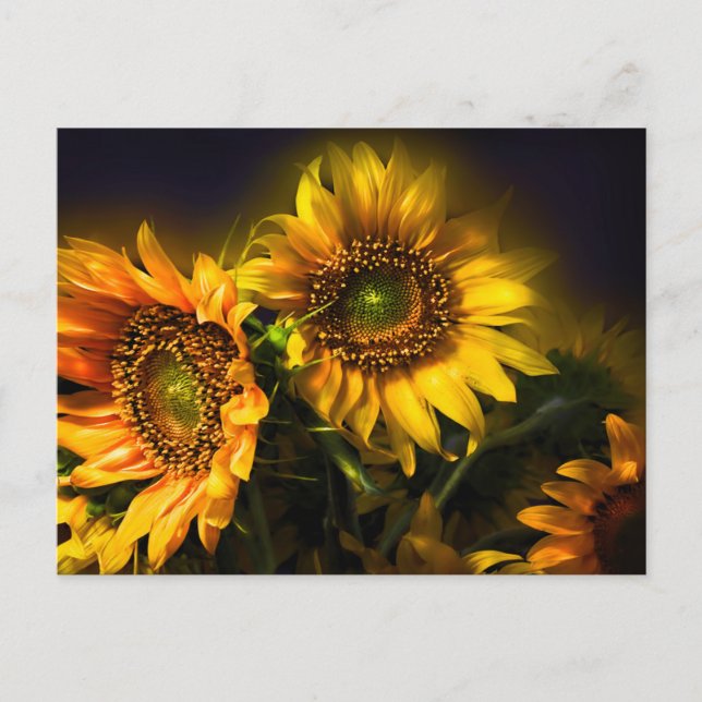 Floral Yellow Sunflowers Flowers, Love, Thank You Postcard (Front)