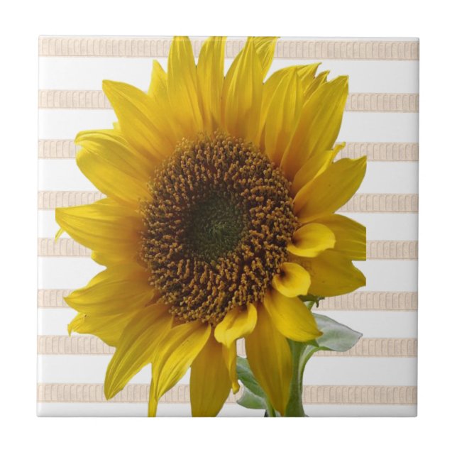 FloralClassic Sunflower Ceramic Tile Beige Stripe  (Front)