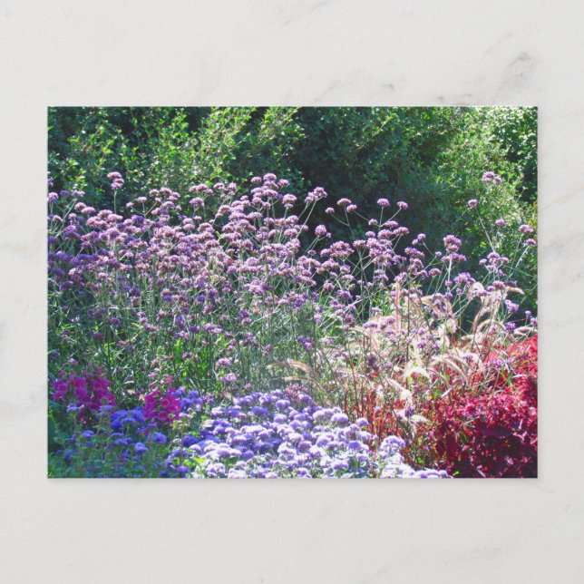 Florals in the English Garden's Postcard (Front)