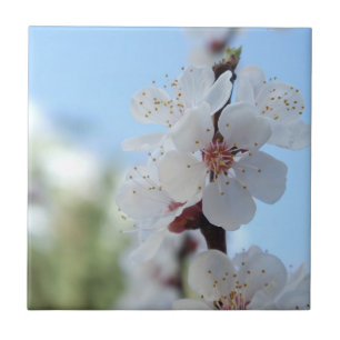 Floreal Ceramic Tile