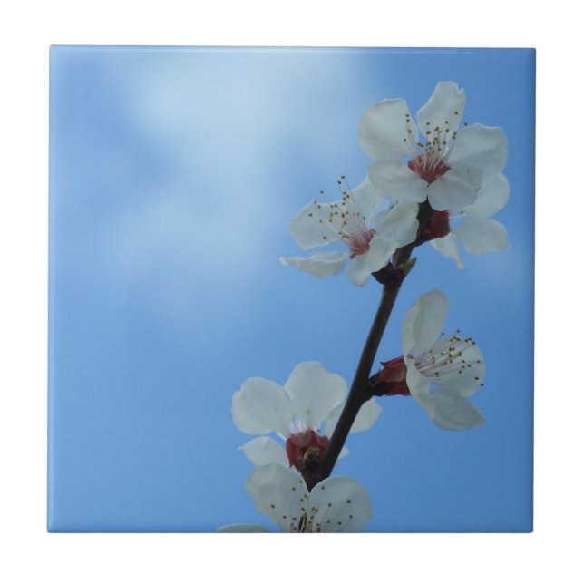 Floreal Ceramic Tile (Front)