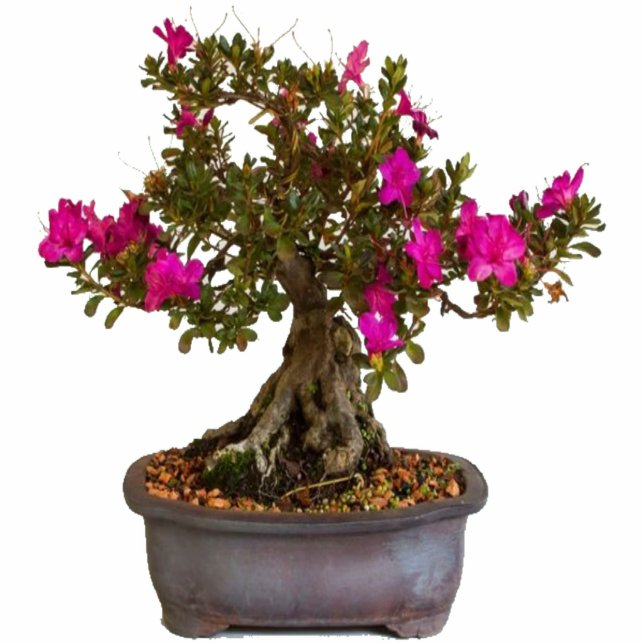 Florecitas Rosas Standing Photo Sculpture (Front)