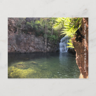 florence falls litchfield postcard