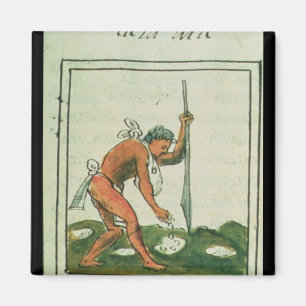 Florentine Codex' by Bernardino de Sahagun Magnet