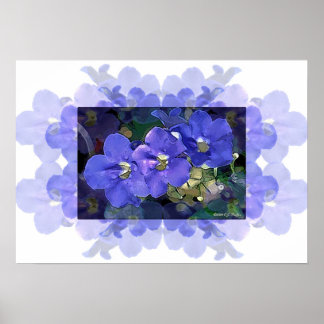'Flores Azuis' (Blue Flowers) Poster