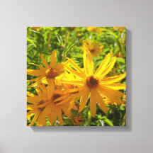 Flores en mi hierbas " flowers in my weeds "